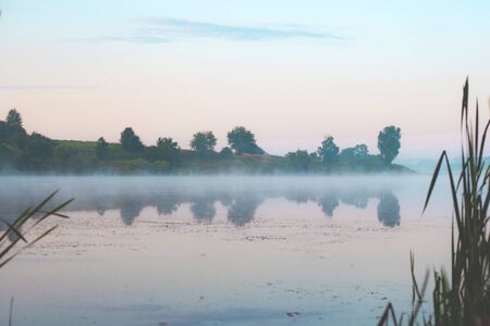 morning fog in the reeds over by the lake landscape