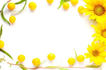 beauty flowers flat lay frame of cherry plum and twigs of the decorative tree salix matsudana tortuosa copy space on white background top view close upの写真素材