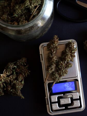 cannabis kidney weighing  , drug sale concept ,hemp buds on the scales close-upの写真素材