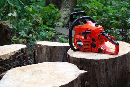 electric chainsaw on cut tree stumps close-upの写真素材