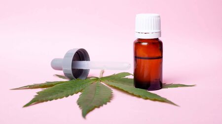 medicinal marijuana extract.cannabis essential oil and green leaf on pink beauty background.の写真素材