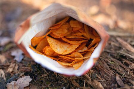 orange crispy chips in a pack closeup. salty snacks fast junk food.
