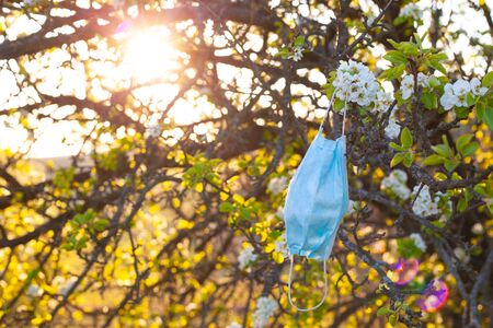 environmental pollution, used infectious masks are thrown during the covid-19 pandemic. medical mask hanging on a flowering tree in the sun.の写真素材
