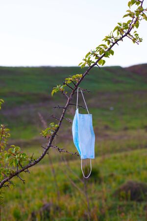 medical face mask on tree,environmental pollution.の写真素材