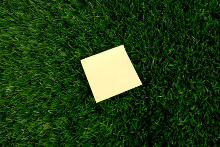 blank paper sticker on green grass.の写真素材