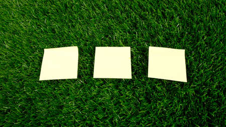 yellow stickers on green lawn close-up, copy space.