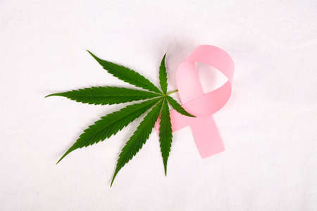 pink ribbon and green plant  of marijuana medical plant on white background. cannabis cancer treatment concept.の写真素材