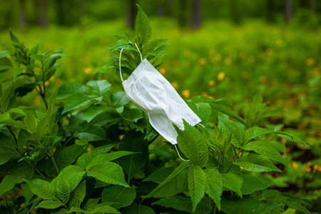 medical mask on a branch. Contaminated  masks are thrown out during quarantine, the outbreak of covid-19. environmental pollution, natureの写真素材