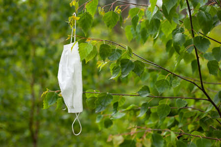 used medical mask in a forest on a tree, pollution of the ecosystem of nature.
