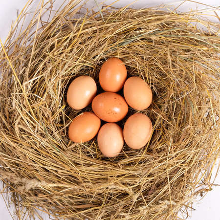 fresh brown chicken eggs in hay, eggs in the nest top view.の写真素材