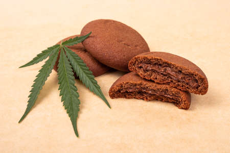 cannabis sweets,marijuana cookie and green leaf close up.

の写真素材