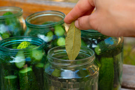 preparation for canning cucumbers for the winter, woman arranges ingredients in a jar close-up.の写真素材