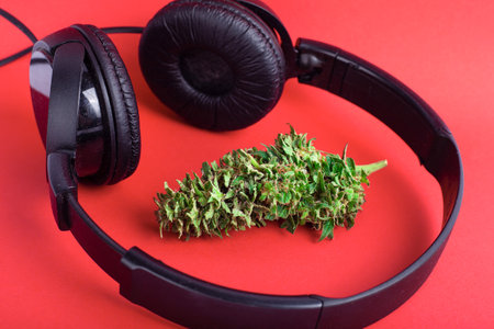 marijuana bud and earphone, recreational cannabis and rap music