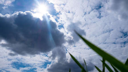 blue sky and white clouds bottom view with green grass spring timeの写真素材