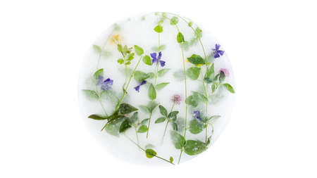 a circle flowers frozen in ice and herbs.