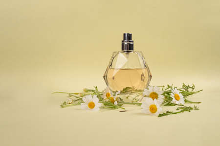 fashionable perfume bottle with chamomile scent on yellow background.の写真素材