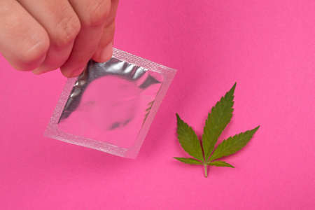 marijuana leaf and condom, love and drugs, contraception after taking the substance.の写真素材
