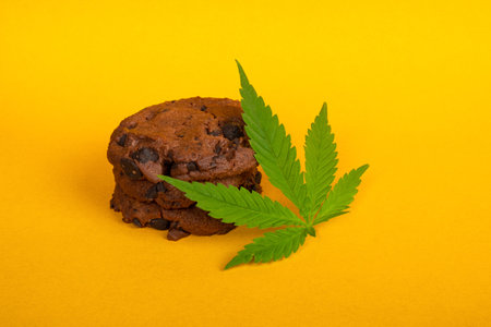 cannabis cookies and green leaf marijuana on yellow background, treatment of medical marijuana for use in food.の写真素材