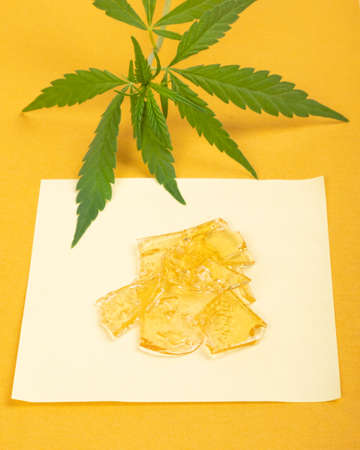 pieces of golden cannabis wax on yellow background with marijuana plant.の写真素材