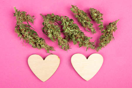 2 love heart and cannabis buds on pink background, symbol love on valentine dayの写真素材