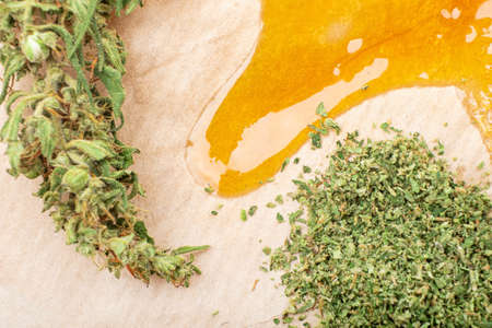piace golden dab concentrate of cannabis wax on yellow background, marijuana green buds and resin.の写真素材