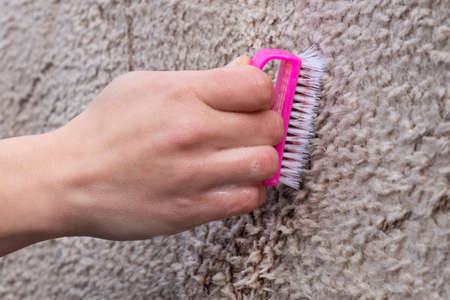brushing a light-colored carpet with detergent