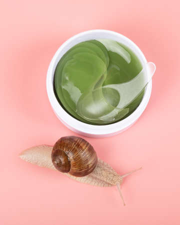snail and container with cosmetic patches for the eyes with the addition of mucinの写真素材