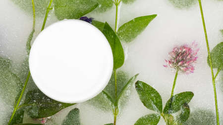white jar of body care cream on ice with frozen flowers toning cosmetics beauty