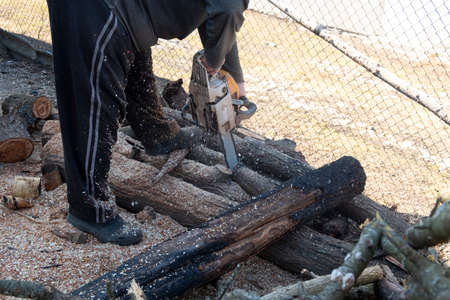 a man cuts wooden stump with a chainsaw, firewood harvesting process close-up.