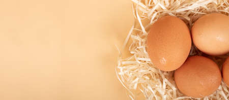 chicken eggs in the nest closeup, easter eggs concept copy spaceの写真素材