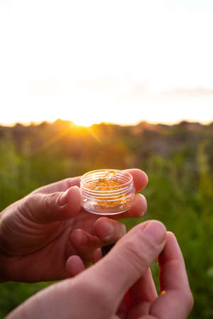 golden cannabis wax at evening sunset, thc resin concentrateの写真素材