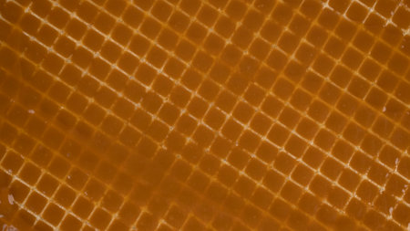 waffle cake with cell texture smeared with condensed milk.の写真素材