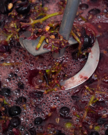 whipping grapes with a mixer in a barrel, the process of making homemade wine.の写真素材