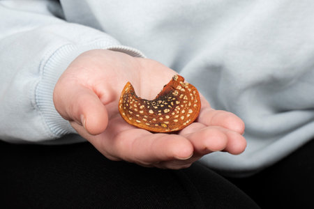 a hat of dried red fly agaric in hand, medical use of amanita muicaria.の写真素材