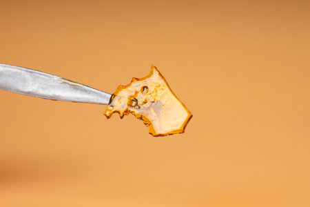 cannabis butane extraction, golden shatter with high thc content.の写真素材