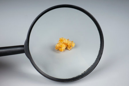 golden crystals wax of concentrated cannabis extract.の写真素材