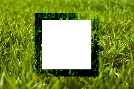 empty summer frame on green grass background, lawn with copy space 3d render.の写真素材