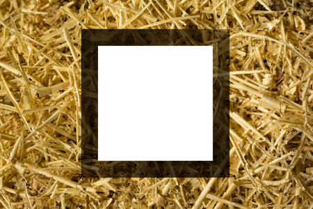 empty mockup frame woodworking wood shavings 3d render.の写真素材
