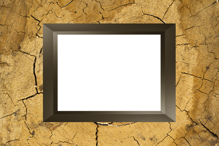 frame mockup template with copy space on wooden oak stump background 3d render.の写真素材