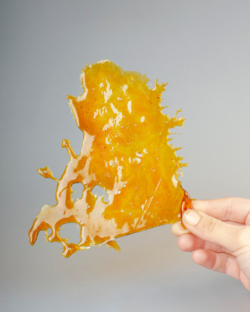 big piece cannabis golden shatter, hard cured resin in hand, celebration wax day 710.の写真素材