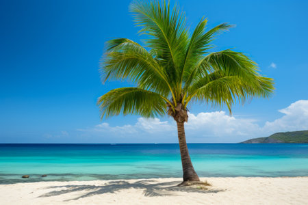A single palm tree stands on a white sandy beach with crystal-clear turquoise waters under a bright blue sky.の素材