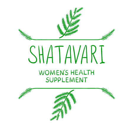 'Shatavari: women's health supplement' handwritten letters with hand drawn borders, green on white.のイラスト素材