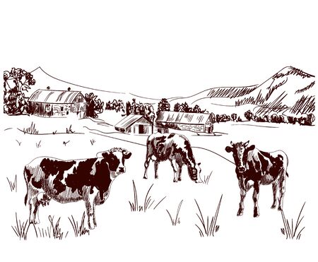 Hand drawn VECTOR illustration: cows grazing on a farmのイラスト素材