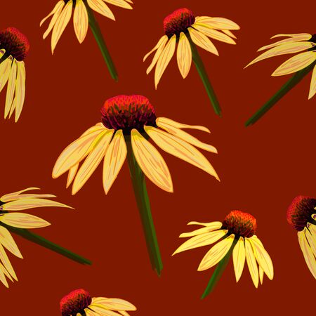 Seamless VECTOR pattern: flowers on brown, echinacea sketch.のイラスト素材