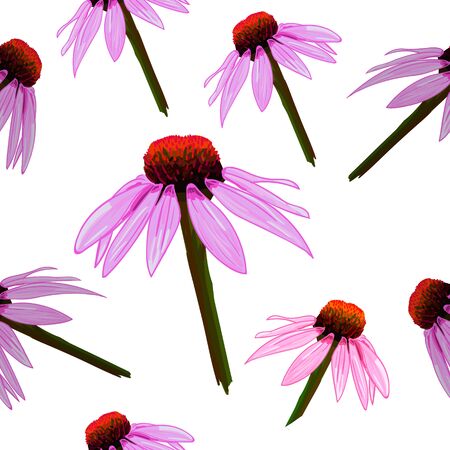 Seamless VECTOR pattern: yellow flowers on white, echinacea.のイラスト素材