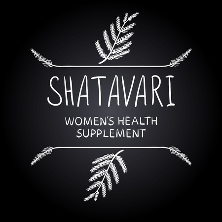 Shatavari: womens health supplement letters with hand drawn borders, chalk drawings.のイラスト素材