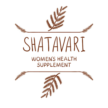 Shatavari: womens health supplement VECTOR letters with drawn borders, brown on white.のイラスト素材