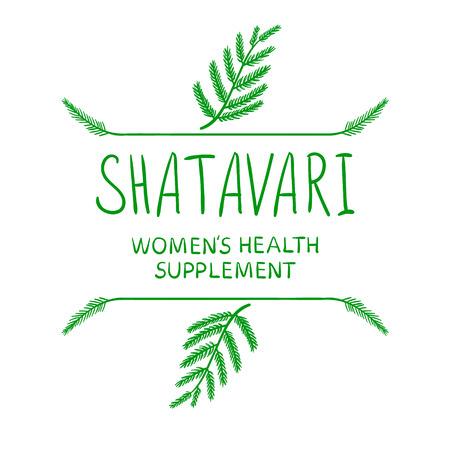 Illustration of a Shatavari: womens health supplement VECTOR letters with drawn borders, green on white.のイラスト素材