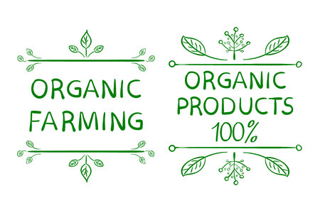 Organic farming. Organic products 100 . Hand drawn typographic design elementsのイラスト素材