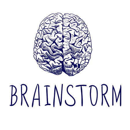 BRAINSTORM. Handwritten letters and outline drawing of human brain. Blue lines.のイラスト素材